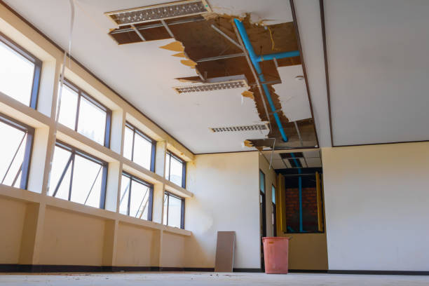 Best Water damage cleanup near me  in San Pablo, CA