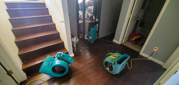Best Ceiling water damage repair  in San Pablo, CA