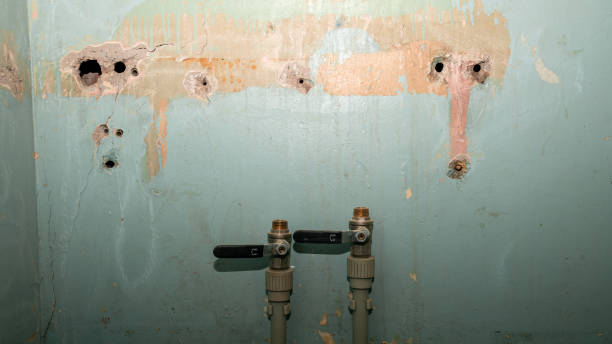Best Water damage restoration specialists  in San Pablo, CA