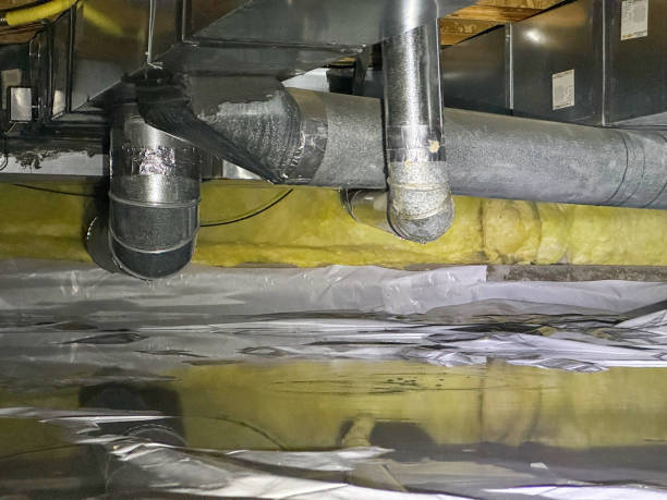 Best Flood damage cleanup  in San Pablo, CA