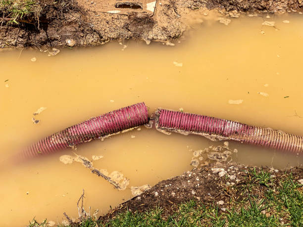 Best Water damage cleanup near me  in San Pablo, CA